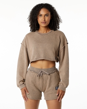 Alphalete Heavyweight Washed Terry Crop Pullover Smokey Quartz Femme | BSR-23405906