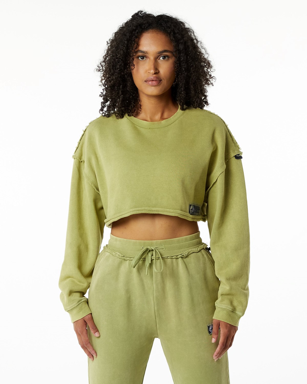 Alphalete Heavyweight Washed Terry Crop Pullover Vert Femme | DCH-55428481