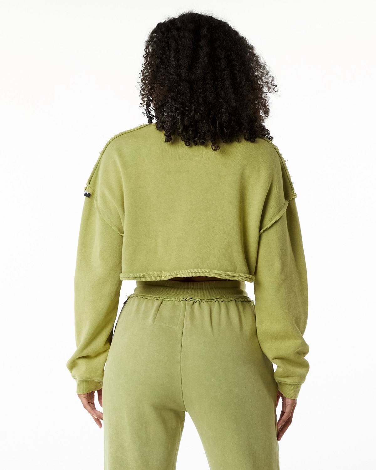 Alphalete Heavyweight Washed Terry Crop Pullover Vert Femme | DCH-55428481