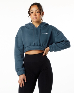 Alphalete Brushed Fleece Half-Zip Crop Hoodie Bleu Femme | WHM-18510969