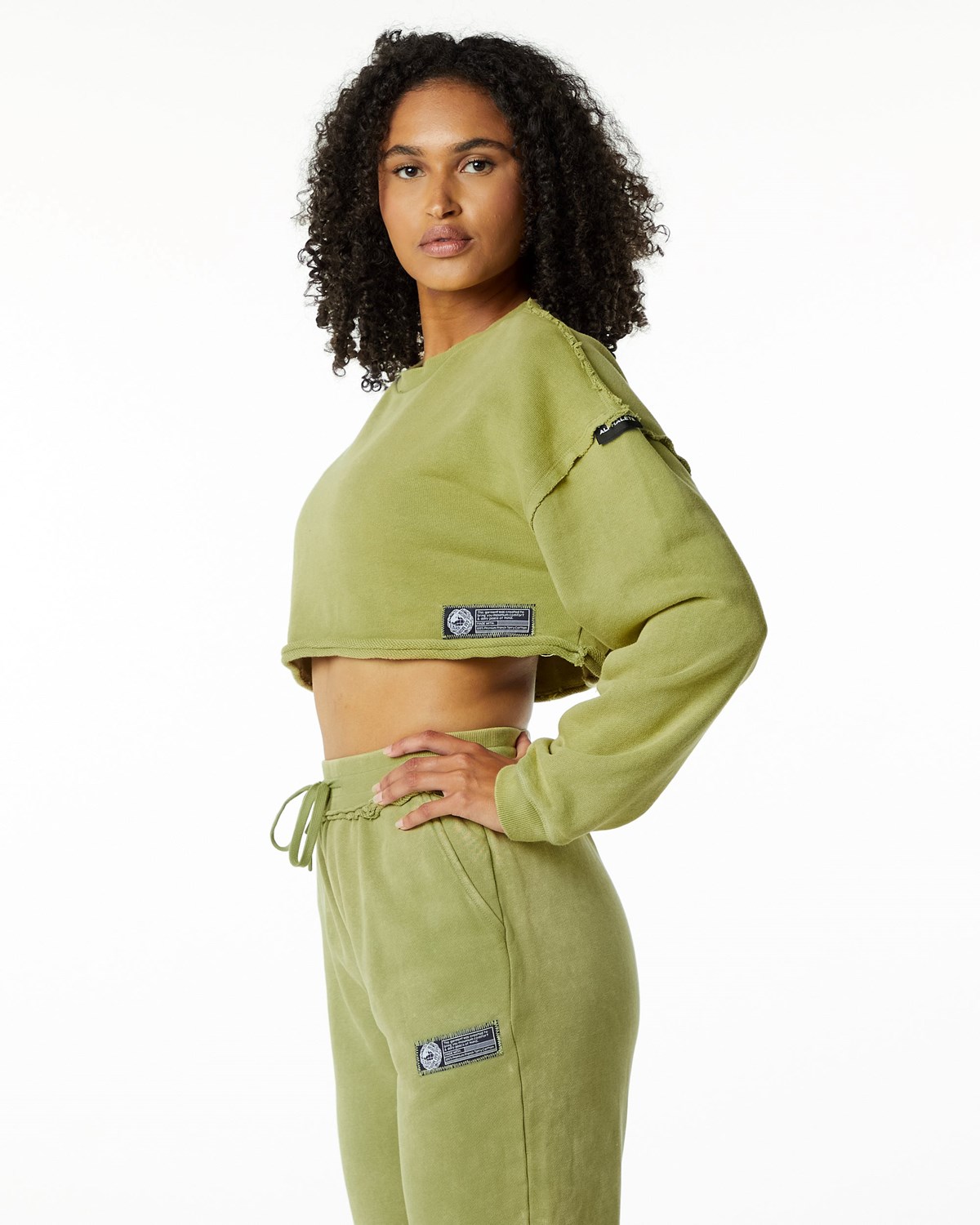 Alphalete Heavyweight Washed Terry Crop Pullover Vert Femme | DCH-55428481