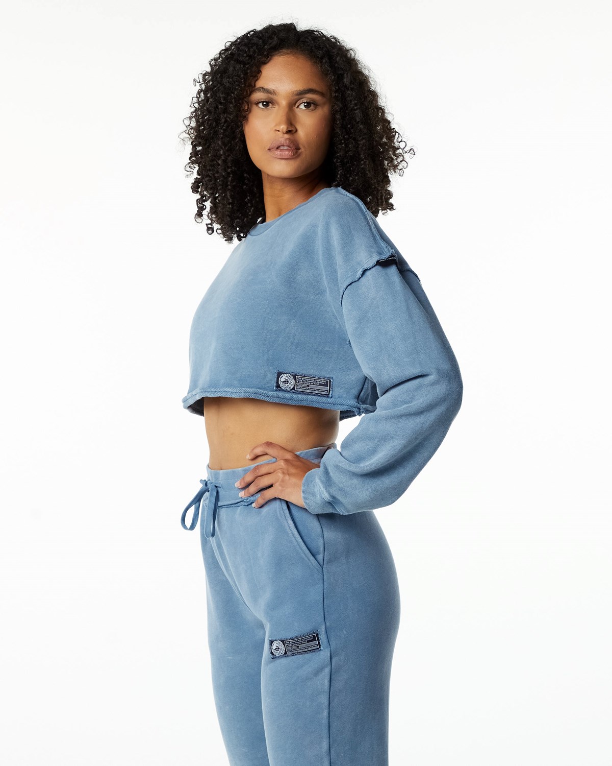 Alphalete Heavyweight Washed Terry Crop Pullover Bleu Femme | QPQ-15664352