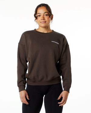 Alphalete Brushed Fleece Crewneck Pull Marron Femme | TAY-05458825