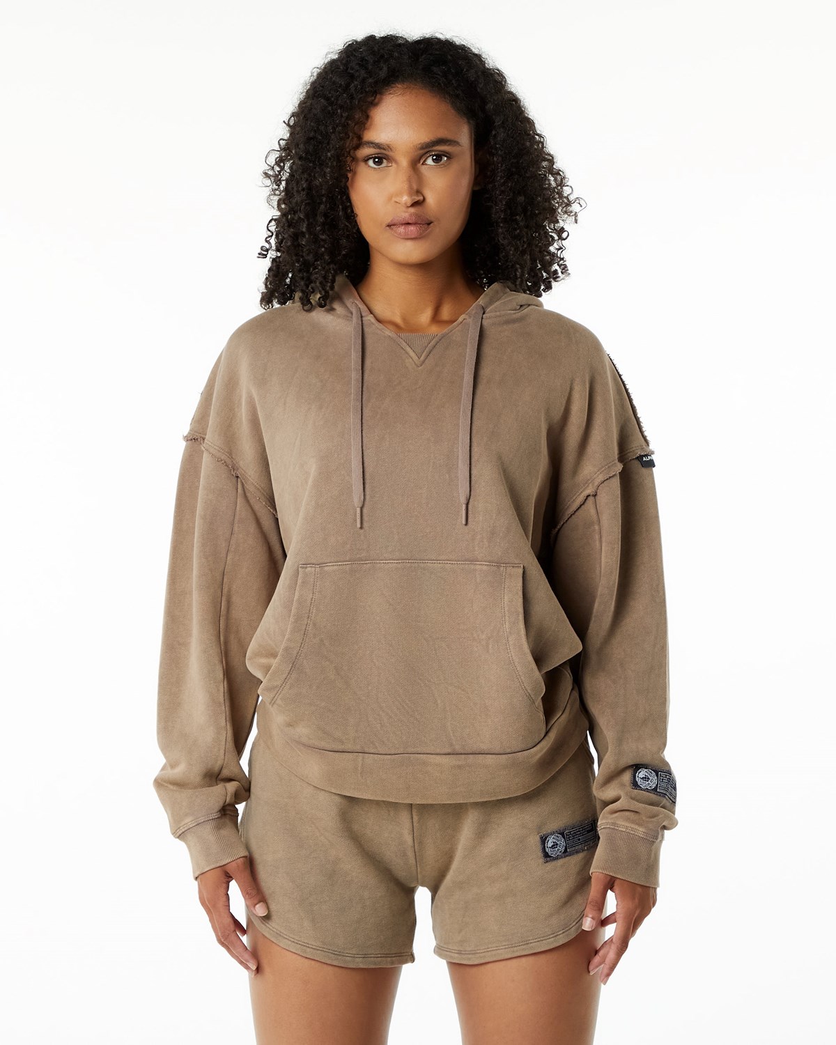 Alphalete Heavyweight Washed Terry Hoodie Smokey Quartz Femme | DOL-20763086