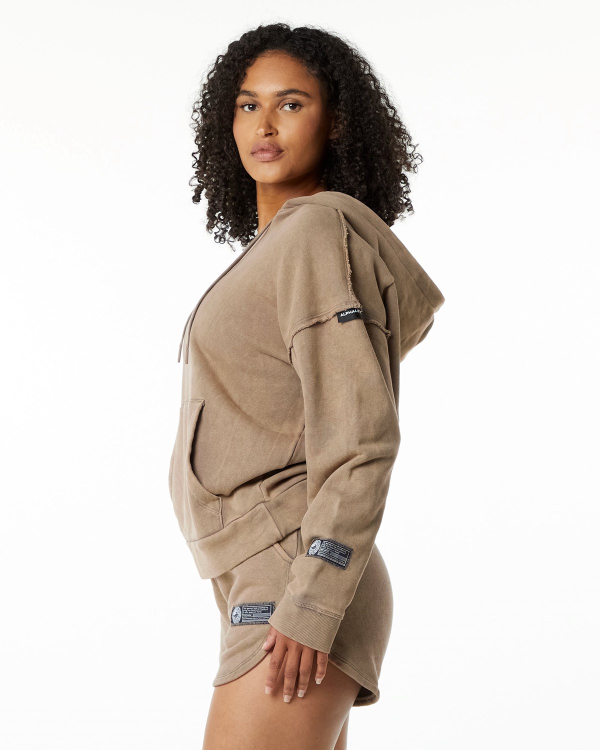 Alphalete Heavyweight Washed Terry Hoodie Smokey Quartz Femme | DOL-20763086