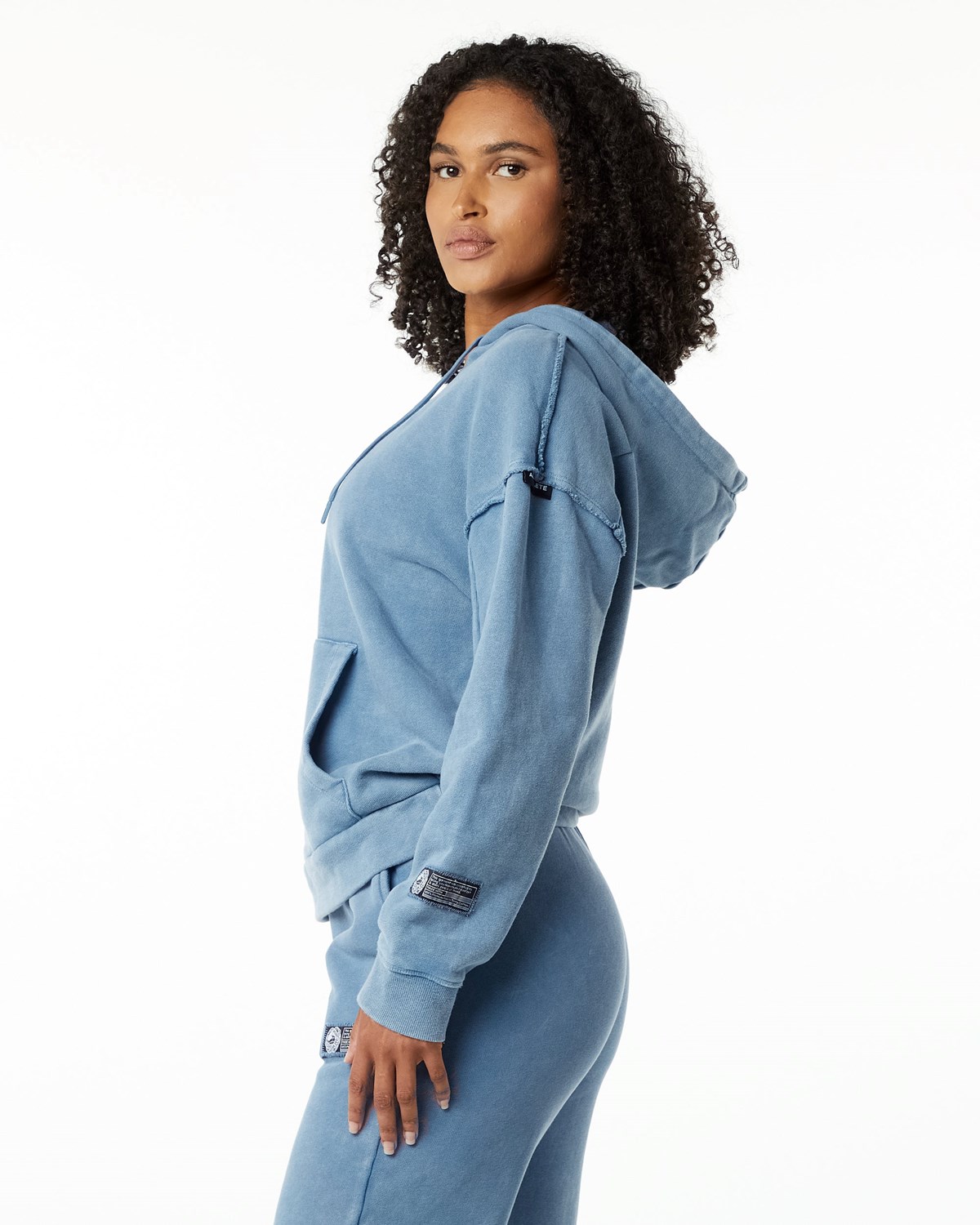 Alphalete Heavyweight Washed Terry Hoodie Bleu Femme | JZF-41227727