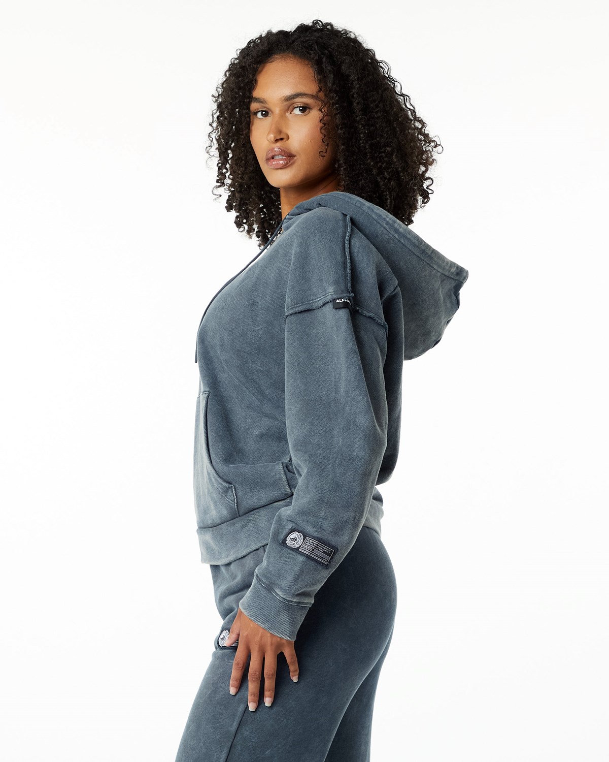 Alphalete Heavyweight Washed Terry Hoodie Bleu Femme | XQD-14314204