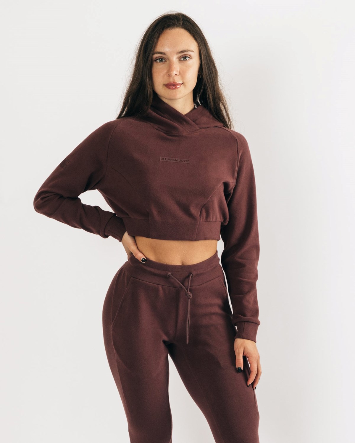 Alphalete Relaxed Single-Brushed Pullover Hoodie Mahogany Femme | KUF-63912089