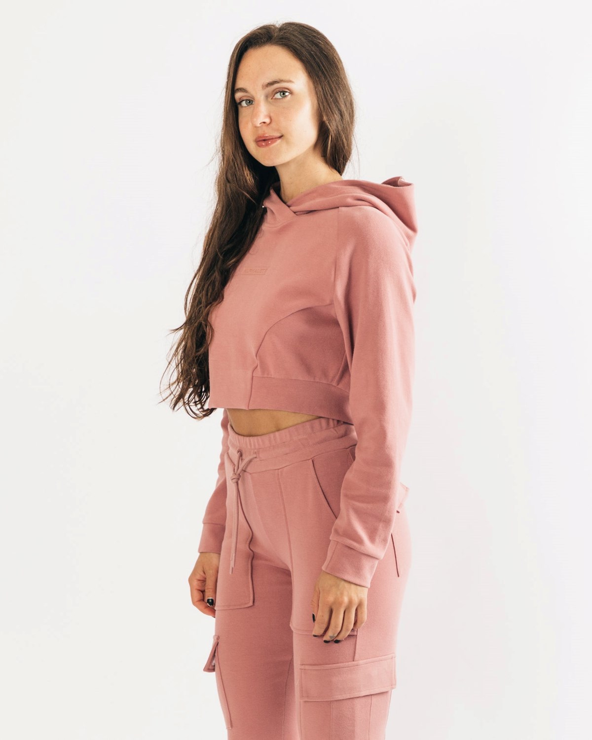 Alphalete Relaxed Single-Brushed Pullover Hoodie Cranberry Ice Femme | LDF-60895024