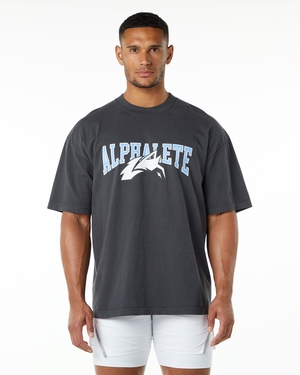 Alphalete Heavyweight Oversized Tee Bleu Unisex | BZT-93361008