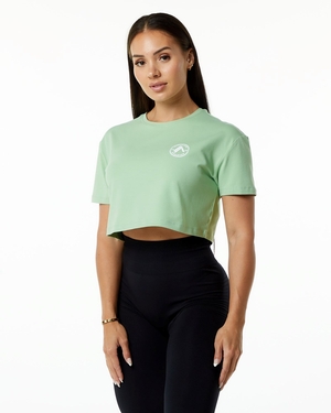 Alphalete Fitted Performance Corta Sleeve Crop Pistachio Femme | ZVE-36558295