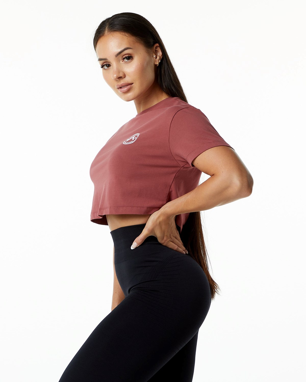 Alphalete Fitted Performance Corta Sleeve Crop Gingerbread Femme | RKU-24561825