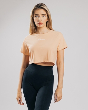 Alphalete Cropped Legere Corta Sleeve Orange Femme | ENT-69394756