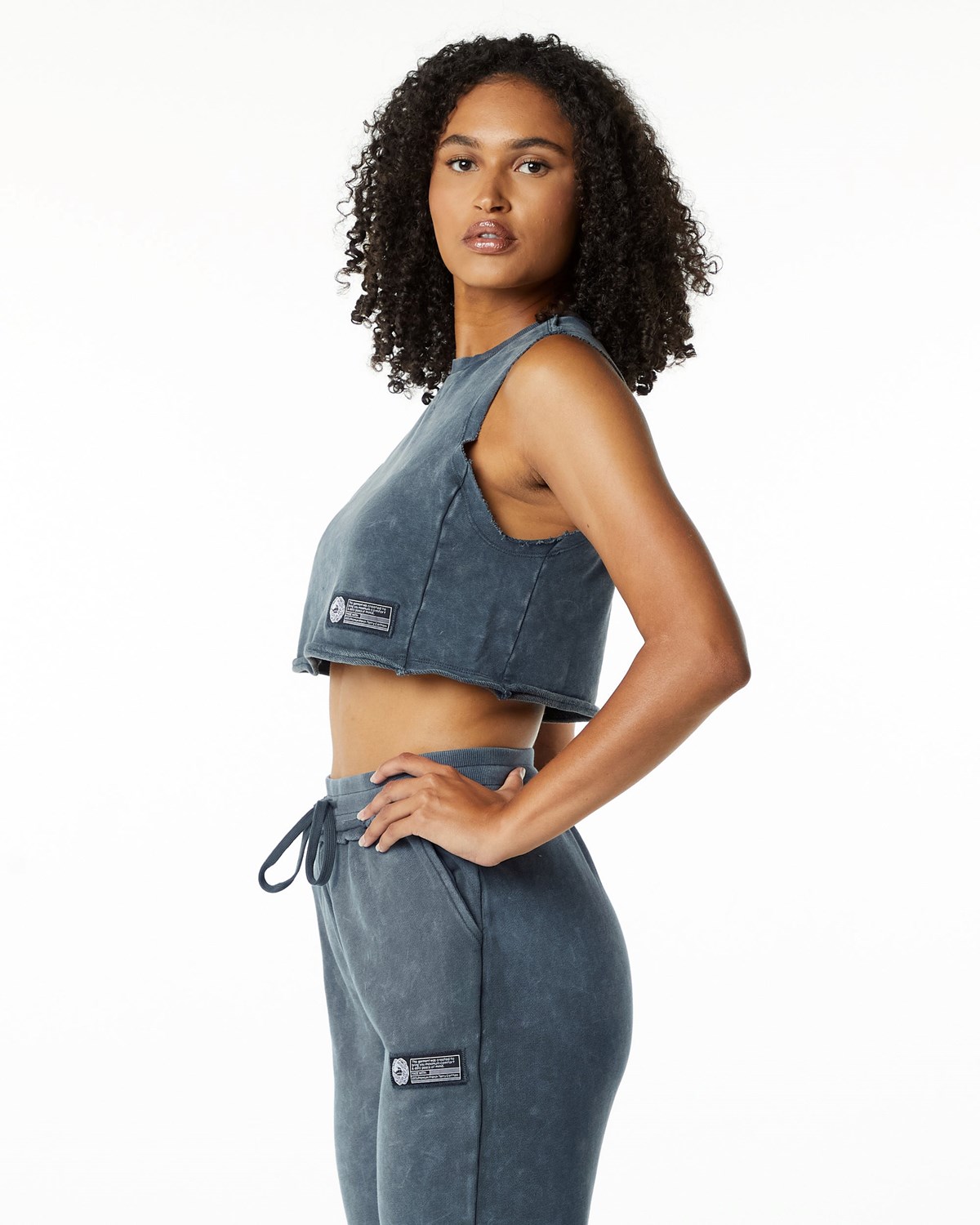 Alphalete Mid-Weight Washed Terry Crop Cutoff Bleu Femme | FGL-17856136