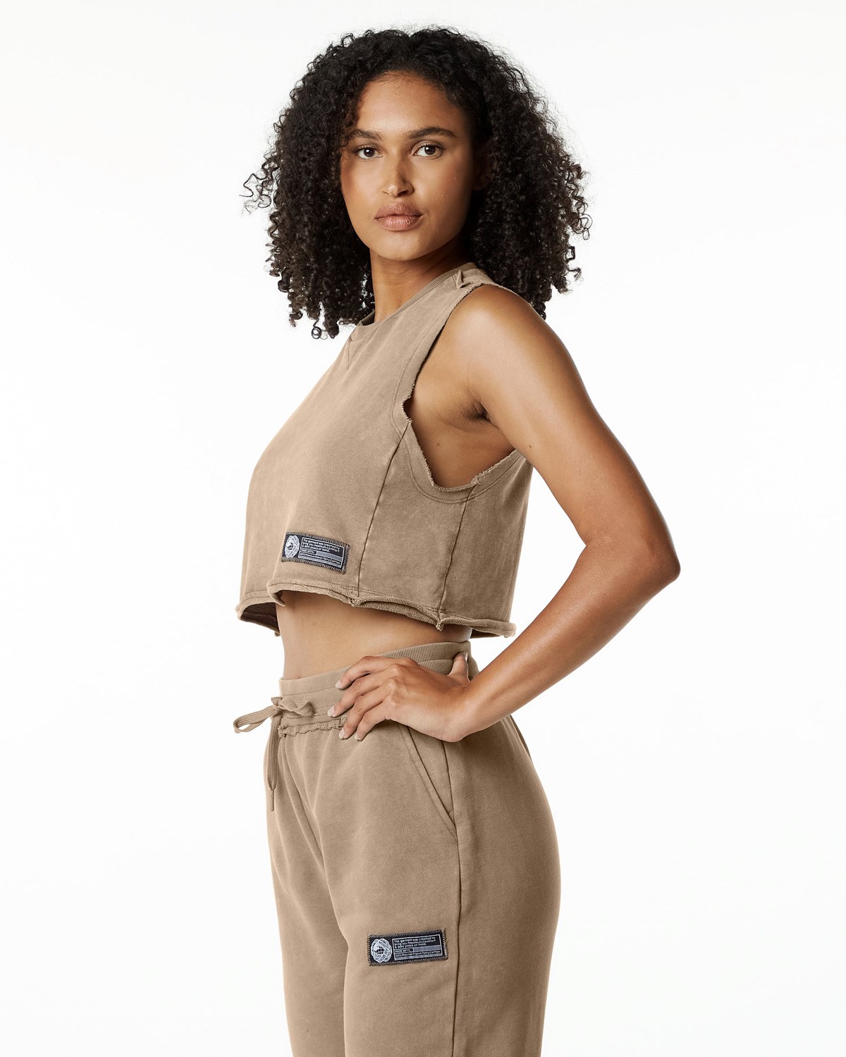 Alphalete Mid-Weight Washed Terry Crop Cutoff Smokey Quartz Femme | WFX-27060293