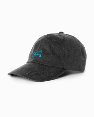 Alphalete Adjustable Cap Noir Femme | EIJ-88197408