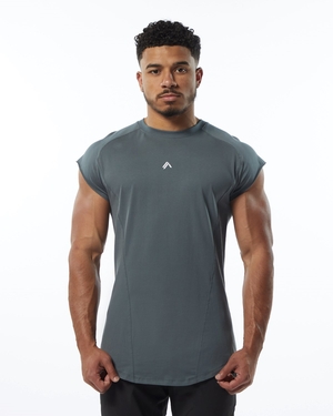 Alphalete High Performance Sans Manches Tee Grise Homme | HPP-54125130