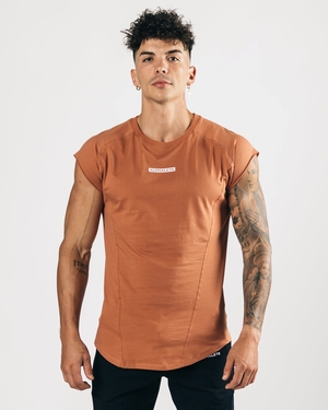 Alphalete High Performance Sans Manches Tee Clay Homme | LUY-38807387