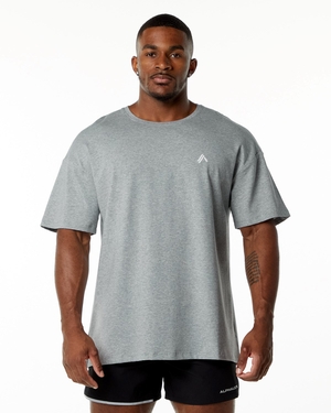 Alphalete Drop Shoulder Tee Grise Homme | TOT-98558456