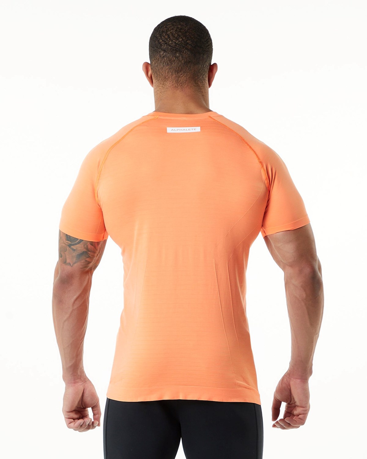 Alphalete High Performance Seamless Corta Sleeve Tee Faded Day Tripper Homme | YXA-99977216