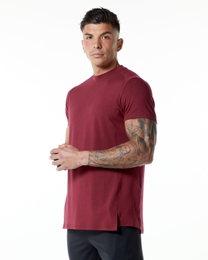 Alphalete High-Neck Premium Corta Sleeve Tee Rouge Homme | UWT-20876996