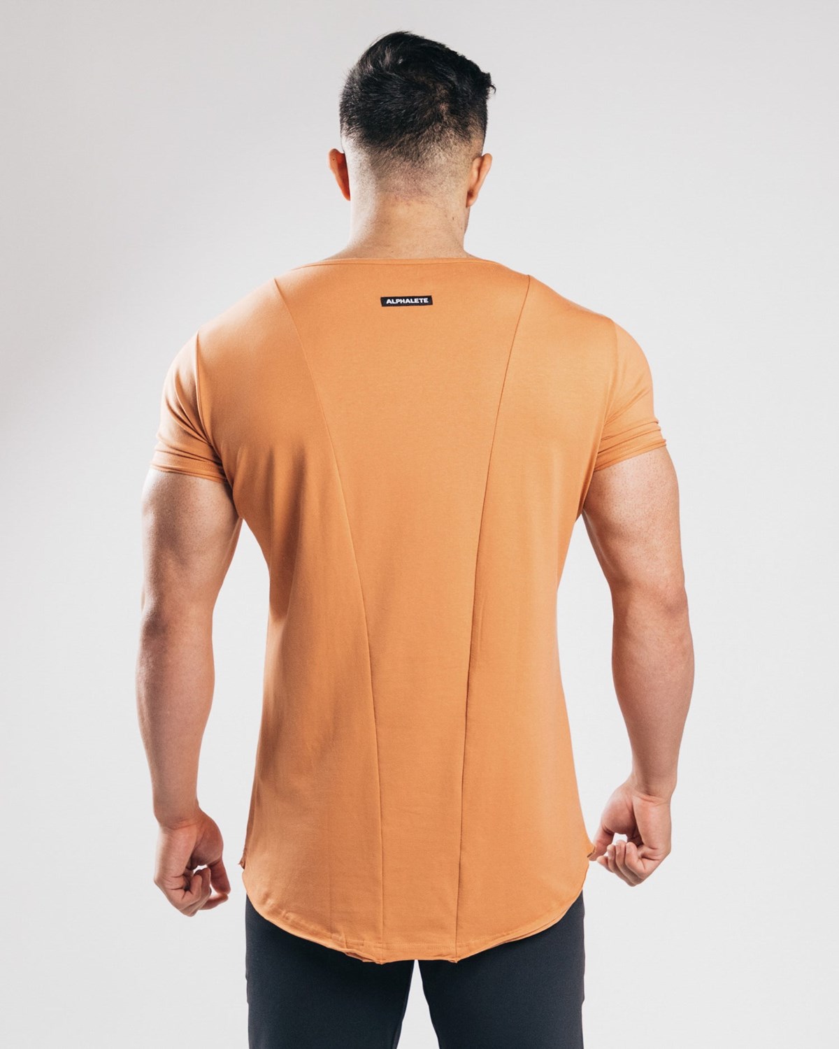 Alphalete Fitted Corta Sleeve Clay Homme | ABS-97520747