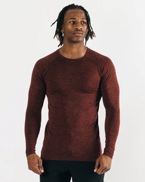 Alphalete High Performance Seamless Long Sleeve Tee Cuivre Homme | DWP-27517752