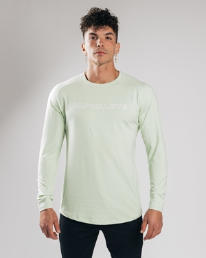 Alphalete Fitted Performance Long Sleeve Frozen Spring Homme | JBX-35995036