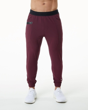 Alphalete Woven 4-Way Stretch 29