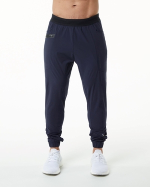 Alphalete Woven 4-Way Stretch 29