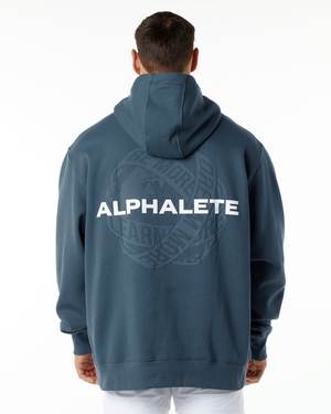 Alphalete Brushed Fleece Graphique Hoodie Bleu Homme | ICM-18421041