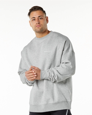 Alphalete Brushed Fleece Crewneck Pull Grise Homme | HMP-42973822